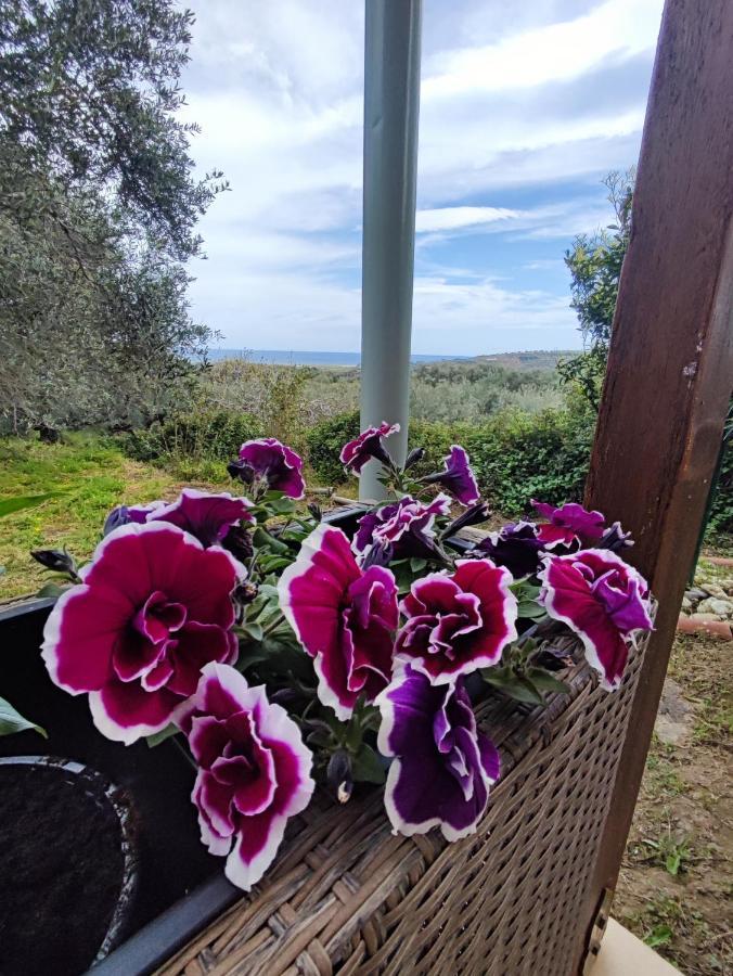 Anatolika Stamatis Paradise Dempla Екстер'єр фото